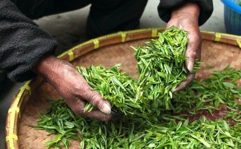 茶叶公司起名字寓意 茶叶公司起名字寓意