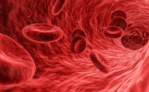 洋气的生物科技公司名字大全 洋气的生物科技公司名字大全