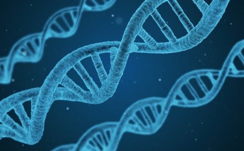 简单易记的生物科技公司名字