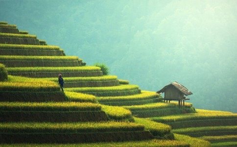 生态园林公司取名 生态园林公司取名