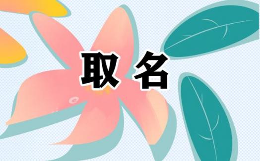 2022五行属火的孩子起名