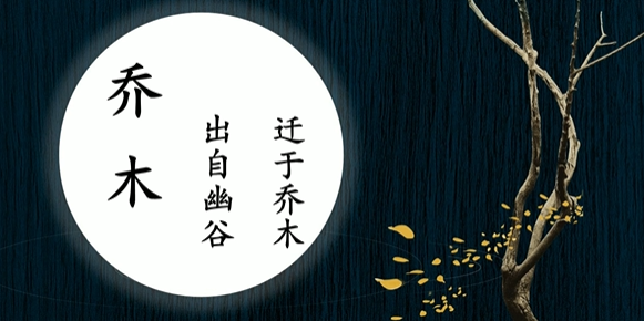 女孩名字,散落人间好听的女孩名
