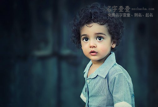 男孩姓陶名字最高分一百个好名