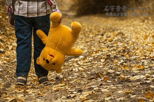 给熊姓男孩取个高分名,带有详细解析