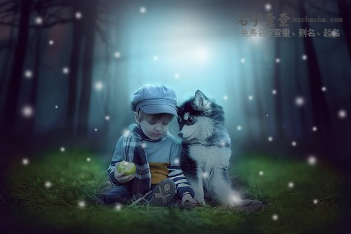 周姓男孩100分起名字
