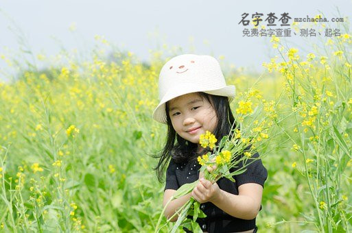 安姓女孩测试高分吉祥一百个好名字