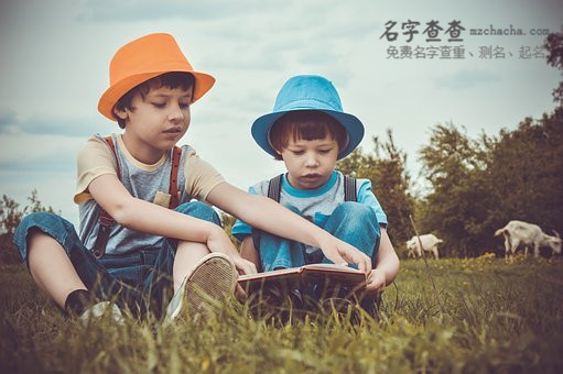 鲁姓男孩高分名字大全,鲁姓打分较高的名字!