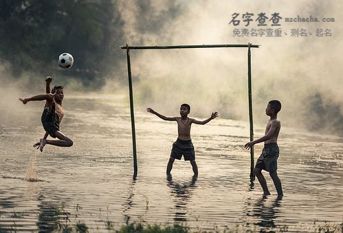 谢姓男孩100分起名字