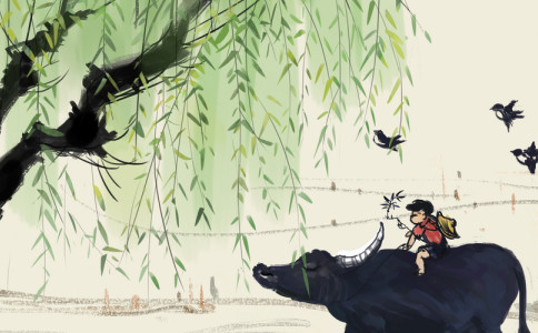 姓祁男孩五行缺土