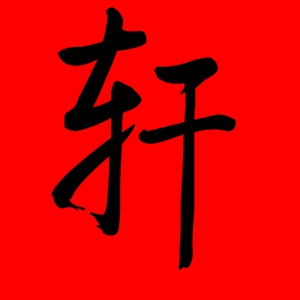 带轩字的女孩名字寓意 轩字结尾的女孩名字
