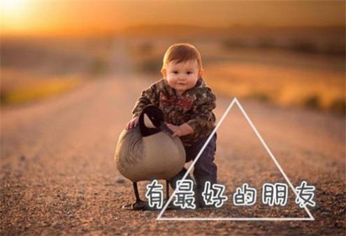 陈星宇名字打分测试，陈星宇名字打多少分测试