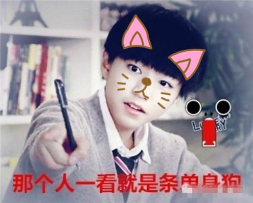 李嘉禾名字打分测试，李嘉禾名字打多少分测试