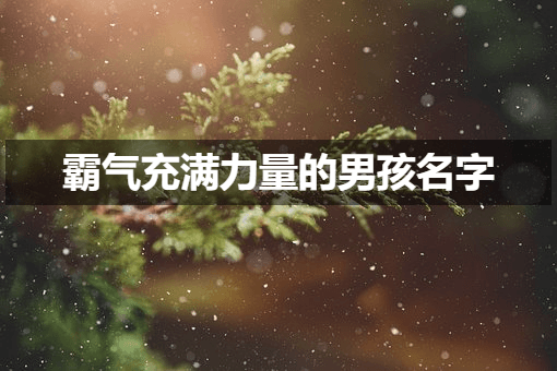 霸气充满力量的男孩名字,给你的孩子更多自信和魄力