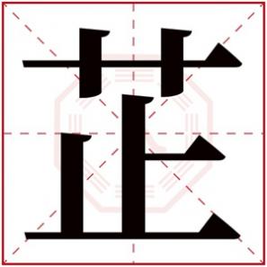 带有芷字的女孩名字,芷字的女孩名字大全