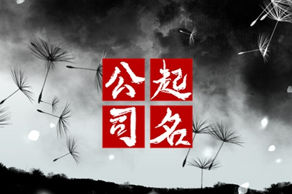 霸气的网络公司名字 诗意的公司名称