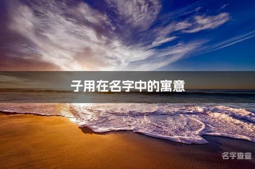 子用在名字中的寓意_子字取名最佳搭配男宝宝名字