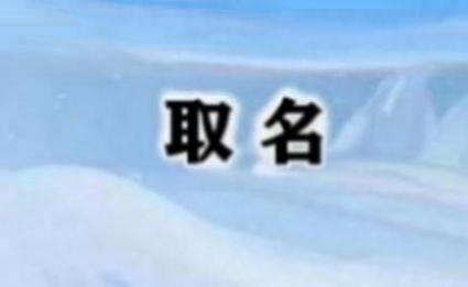 风度翩翩宝宝取名