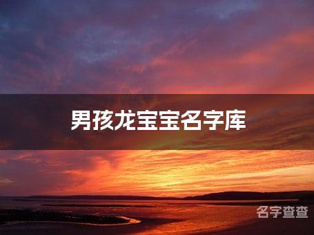 男孩龙宝宝名字库,龙年出生男孩名字大全