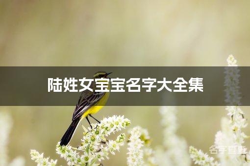 陆姓女宝宝名字大全集 优雅大气的陆姓女宝宝名字
