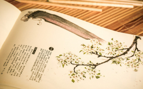 曼取名怎么取好听 曼取名怎么取好听